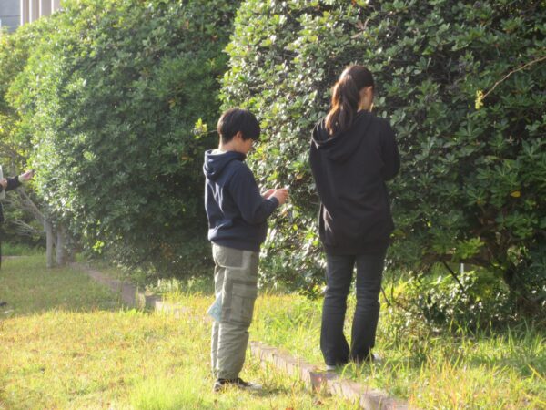 私のセンス・オブ・ワンダーを表現しよう