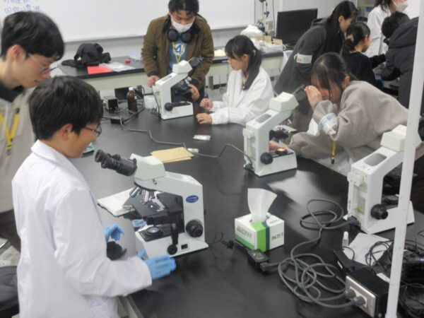 顕微鏡でミクロの世界を覗こう