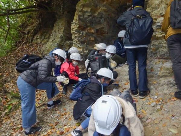 神戸層群露頭観察と植物化石探索体験