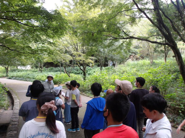 森林植物園の不思議