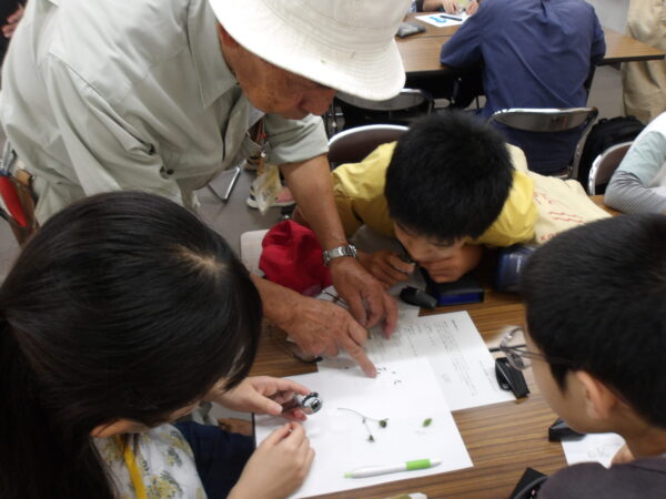 森林植物園のふしぎ