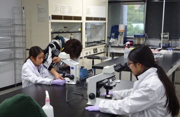 顕微鏡でミクロの世界を覗こう