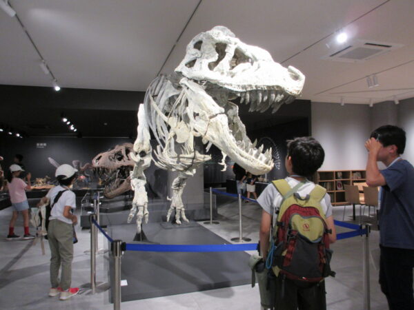 たんば恐竜博物館訪問（化石発掘体験から変更）