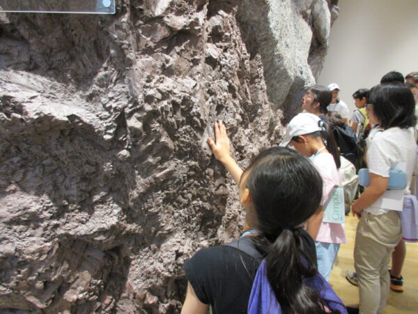 たんば恐竜博物館訪問（化石発掘体験から変更）